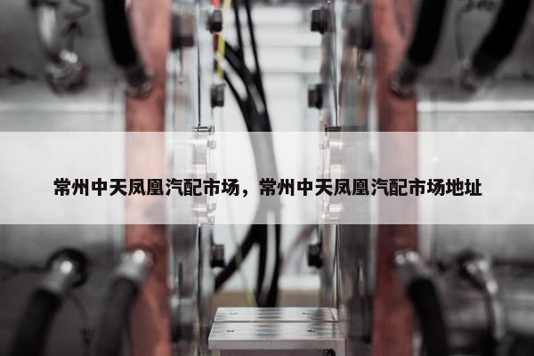 常州中天凤凰汽配市场，常州中天凤凰汽配市场地址