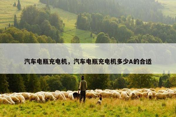 汽车电瓶充电机，汽车电瓶充电机多少A的合适