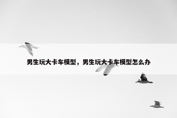 男生玩大卡车模型，男生玩大卡车模型怎么办