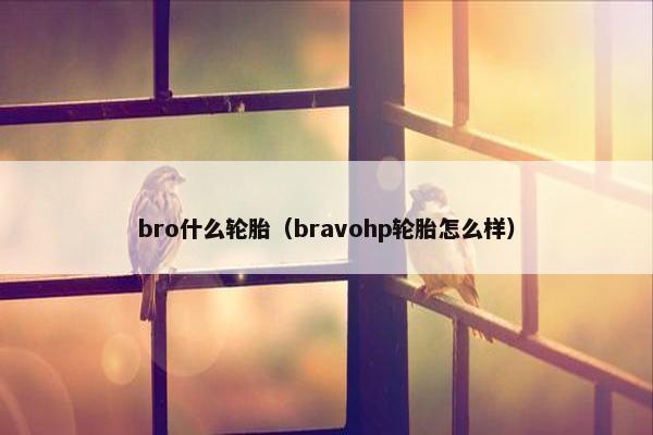 bro什么轮胎（bravohp轮胎怎么样）