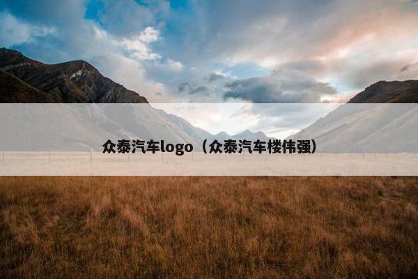 众泰汽车logo（众泰汽车楼伟强）