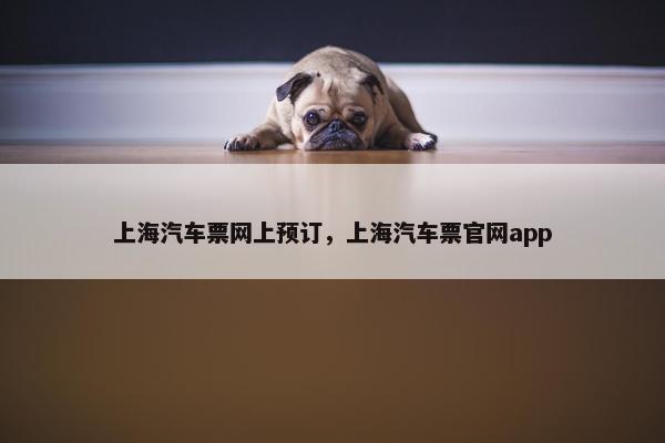 上海汽车票网上预订，上海汽车票官网app