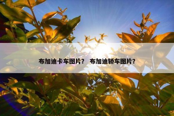 布加迪卡车图片？ 布加迪轿车图片？