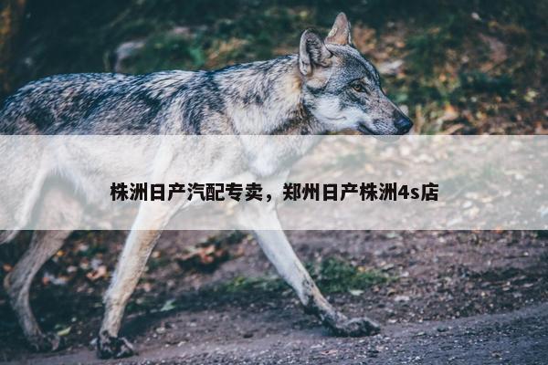 株洲日产汽配专卖，郑州日产株洲4s店