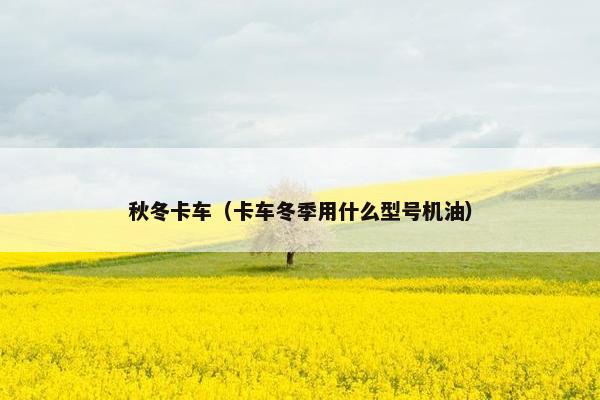 秋冬卡车（卡车冬季用什么型号机油）