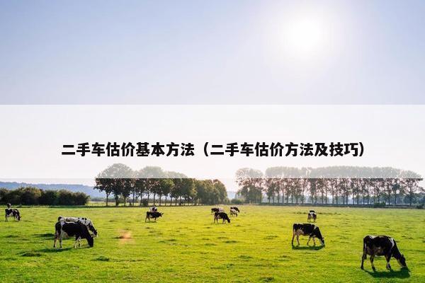 二手车估价基本方法（二手车估价方法及技巧）