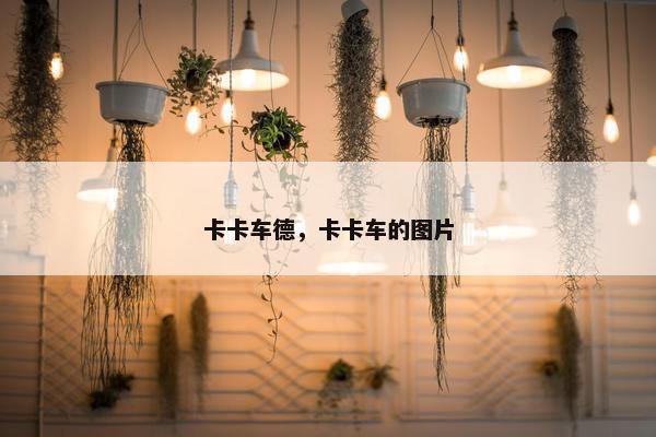 卡卡车德，卡卡车的图片