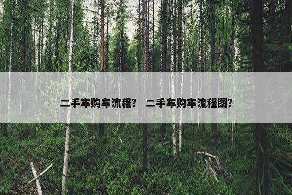 二手车购车流程？ 二手车购车流程图？