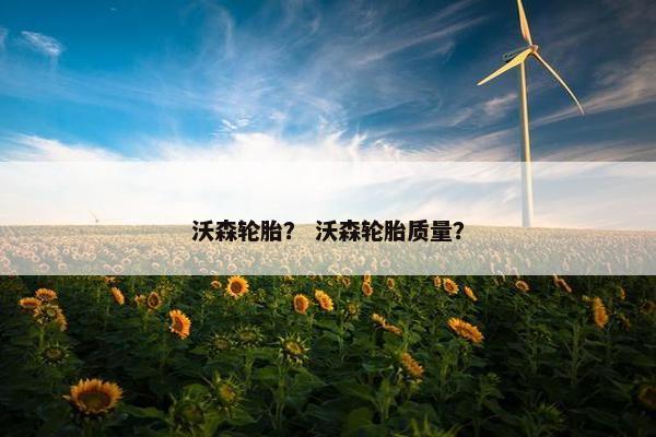 沃森轮胎？ 沃森轮胎质量？