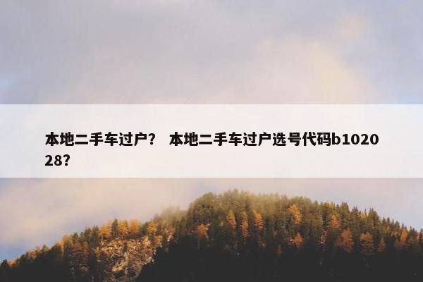 本地二手车过户？ 本地二手车过户选号代码b102028？