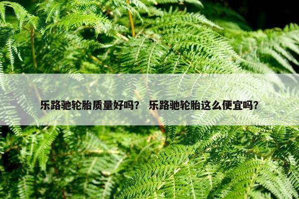 乐路驰轮胎质量好吗？ 乐路驰轮胎这么便宜吗？
