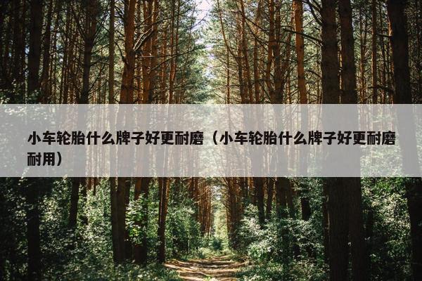 小车轮胎什么牌子好更耐磨（小车轮胎什么牌子好更耐磨耐用）