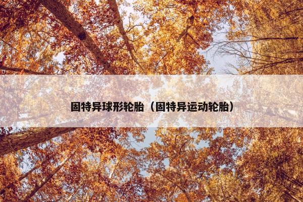 固特异球形轮胎（固特异运动轮胎）