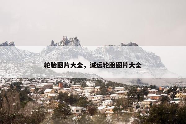 轮胎图片大全，诚远轮胎图片大全