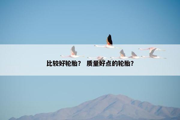 比较好轮胎？ 质量好点的轮胎？