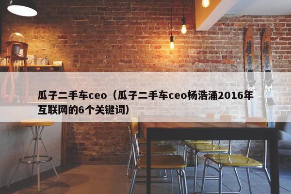 瓜子二手车ceo（瓜子二手车ceo杨浩涌2016年互联网的6个关键词）