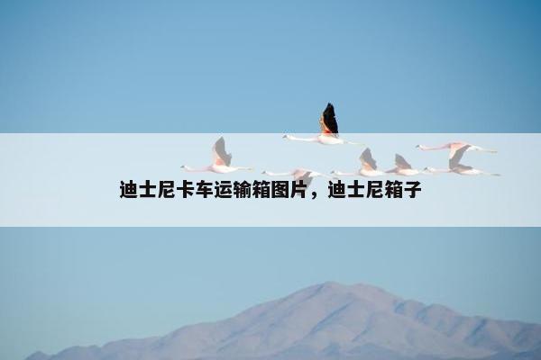 迪士尼卡车运输箱图片，迪士尼箱子