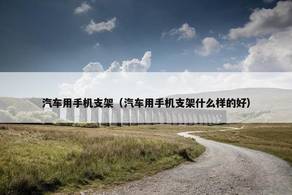 汽车用手机支架（汽车用手机支架什么样的好）