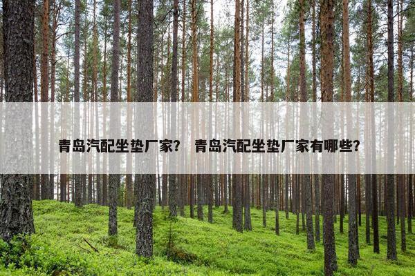 青岛汽配坐垫厂家？ 青岛汽配坐垫厂家有哪些？