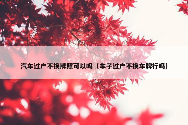 汽车过户不换牌照可以吗（车子过户不换车牌行吗）