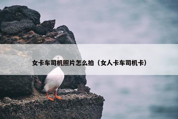 女卡车司机照片怎么拍（女人卡车司机卡）