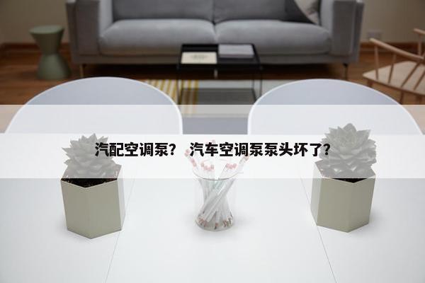 汽配空调泵？ 汽车空调泵泵头坏了？
