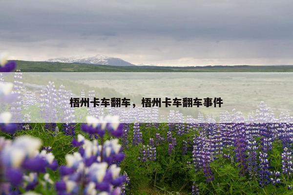 梧州卡车翻车，梧州卡车翻车事件