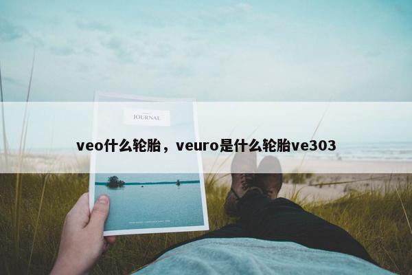 veo什么轮胎，veuro是什么轮胎ve303
