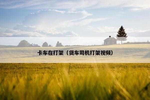 卡车在打架（货车司机打架视频）