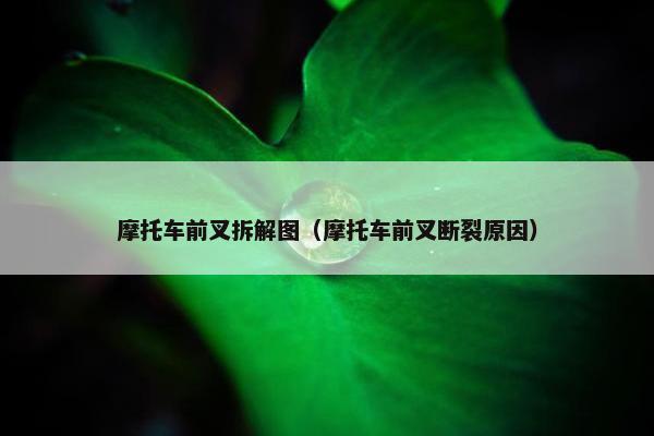 摩托车前叉拆解图（摩托车前叉断裂原因）