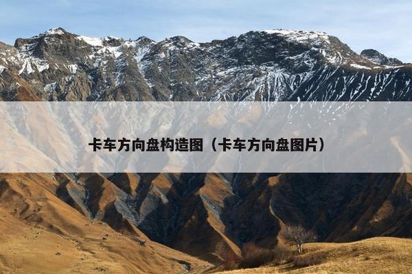 卡车方向盘构造图（卡车方向盘图片）