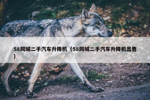 58同城二手汽车升降机（58同城二手汽车升降机出售）