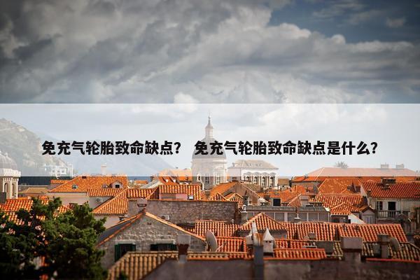免充气轮胎致命缺点？ 免充气轮胎致命缺点是什么？
