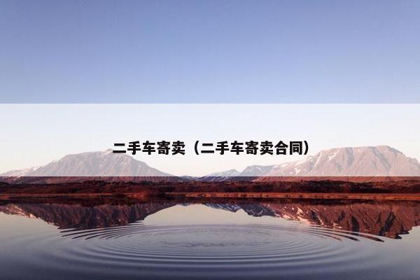 二手车寄卖（二手车寄卖合同）
