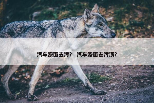 汽车漆面去污？ 汽车漆面去污渍？