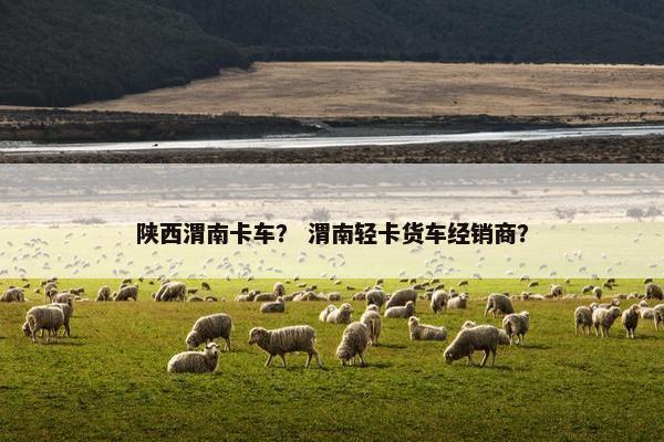 陕西渭南卡车？ 渭南轻卡货车经销商？