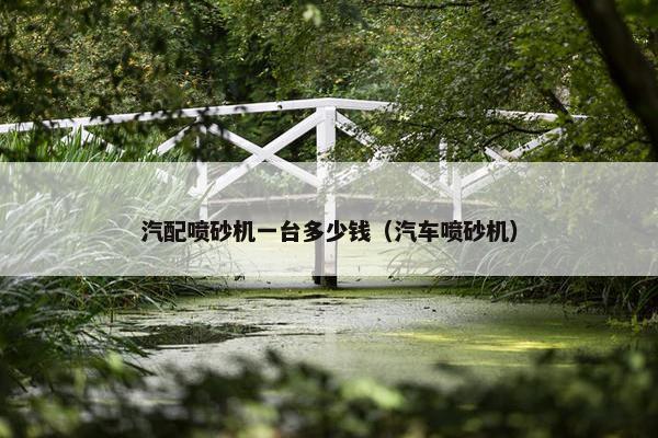 汽配喷砂机一台多少钱（汽车喷砂机）