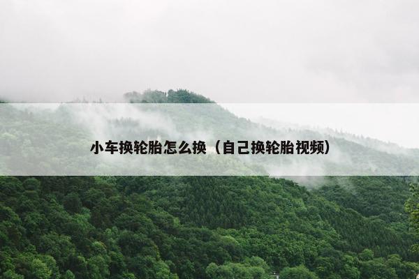 小车换轮胎怎么换（自己换轮胎视频）