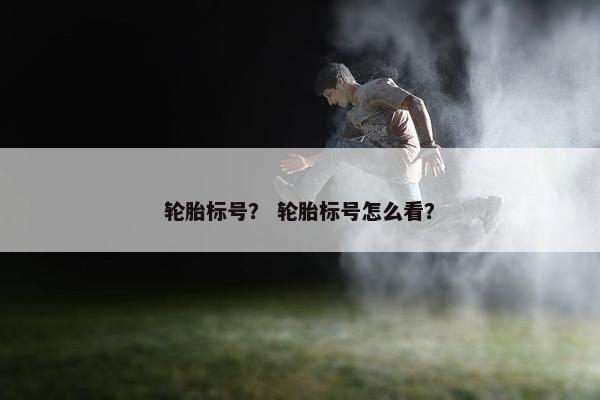 轮胎标号？ 轮胎标号怎么看？