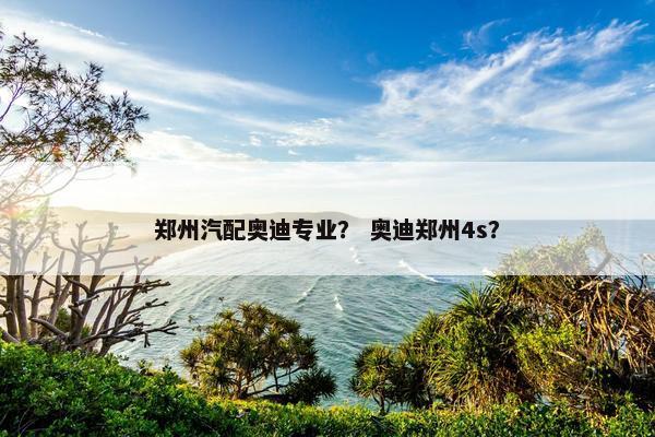 郑州汽配奥迪专业？ 奥迪郑州4s？