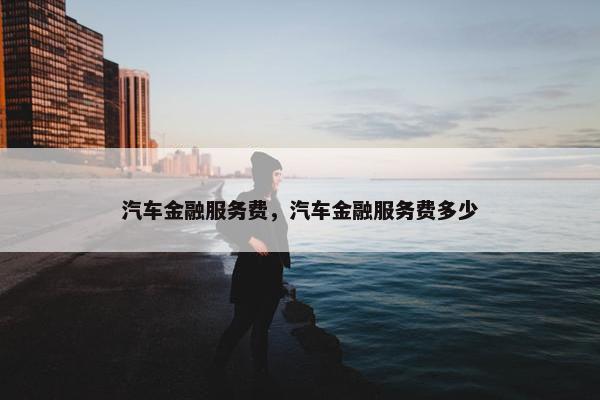 汽车金融服务费，汽车金融服务费多少