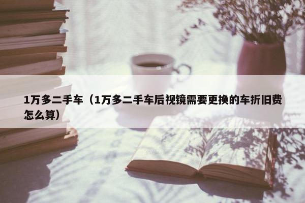 1万多二手车（1万多二手车后视镜需要更换的车折旧费怎么算）