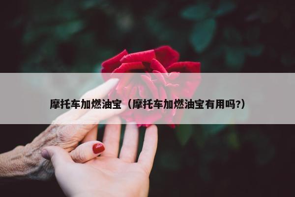 摩托车加燃油宝（摩托车加燃油宝有用吗?）