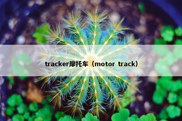 tracker摩托车（motor track）