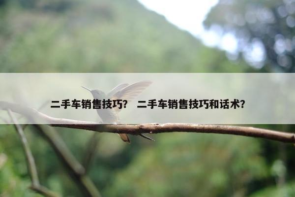 二手车销售技巧？ 二手车销售技巧和话术？