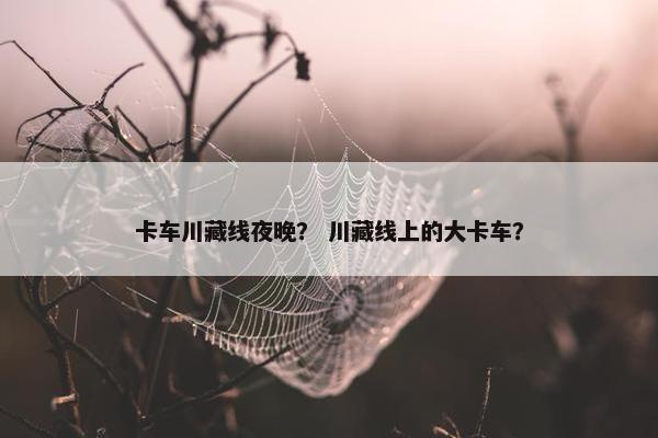 卡车川藏线夜晚？ 川藏线上的大卡车？