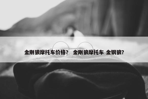 金刚狼摩托车价格？ 金刚狼摩托车 金钢狼？