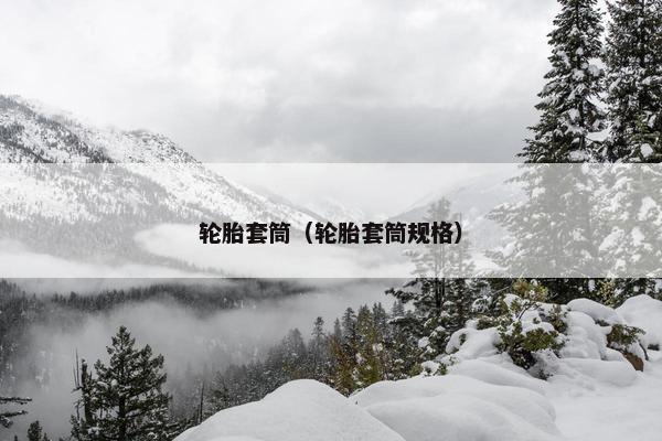 轮胎套筒（轮胎套筒规格）