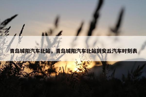 青岛城阳汽车北站，青岛城阳汽车北站到安丘汽车时刻表