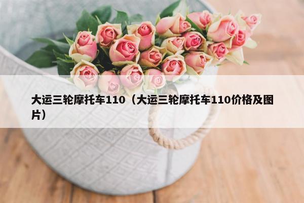 大运三轮摩托车110（大运三轮摩托车110价格及图片）